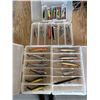 Image 1 : 3 containers of crank baits