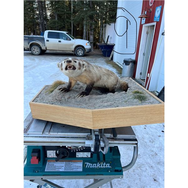 Badger full Mount on Base