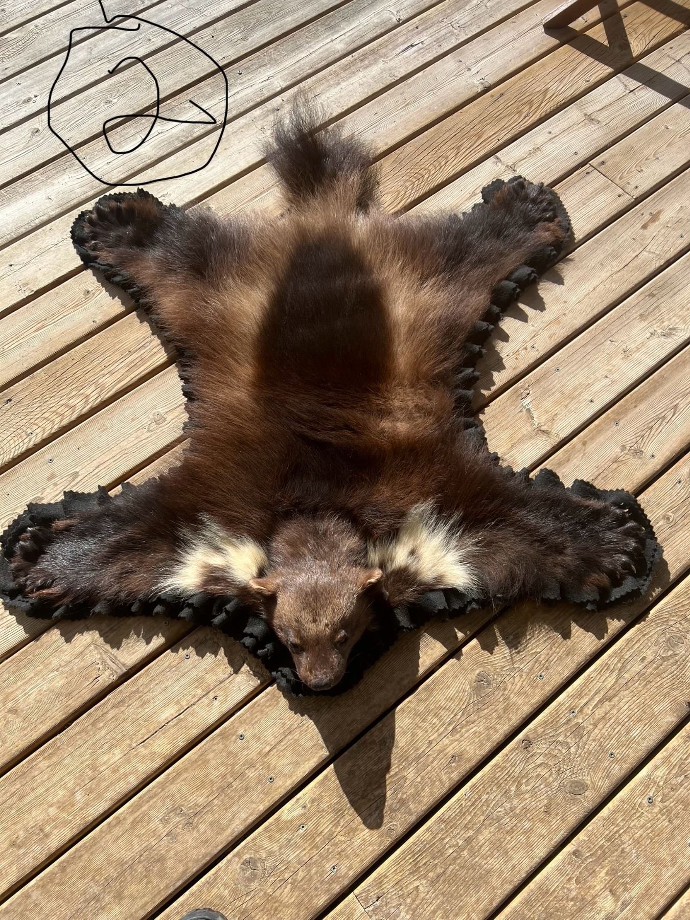 Wolverine Rug - Beck Auctions Inc.