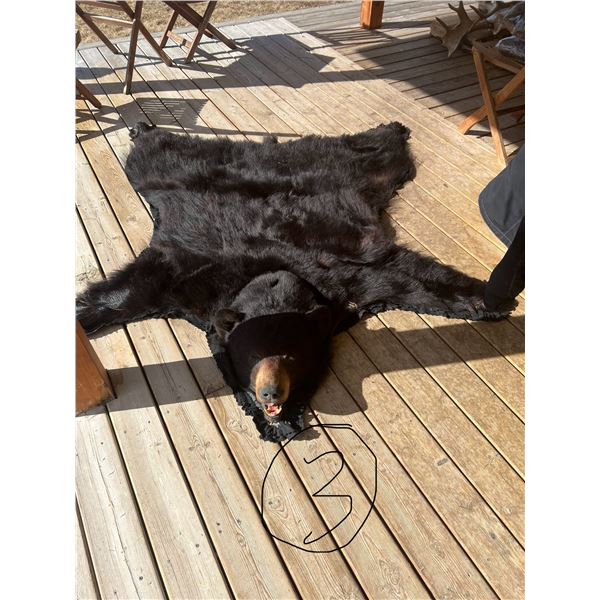 Black bear Rug
