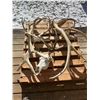 Image 1 : Group of European Skull mounts Bull Elk and Mule Deers