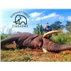 Image 2 : Zimbabwe Dangerous Game Hunt with Elephant Trails