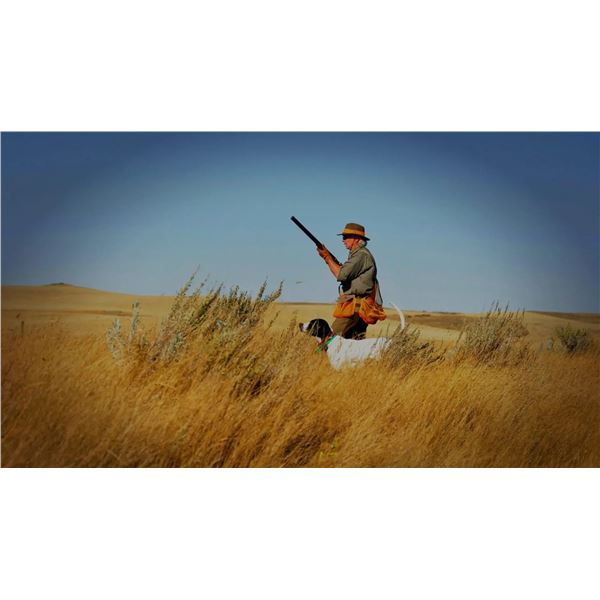 Dave Brown Outfitters Saskatchewan Waterfowl and Upland Bird Shooting