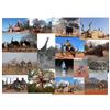 Image 2 : 7 Day Safari in Limpopo with Kwalateng Safaris