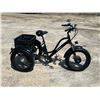 Image 1 : Daymak Florence Fat Tire Electric Trike Tricycle
