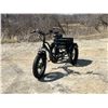 Image 3 : Daymak Florence Fat Tire Electric Trike Tricycle