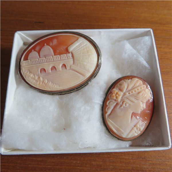 Set of 2 Vintage Cameo pins.  Larger one is stamped 925.  Smaller one appears stamped with 800