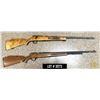 Image 1 : LOT OF 2 RIFLES CAL 22LR - (FOR PROJECT)