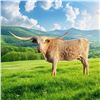 Image 1 : DH STRAWBERRY ROAN