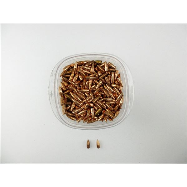 ASSORTED BULLETS LOT