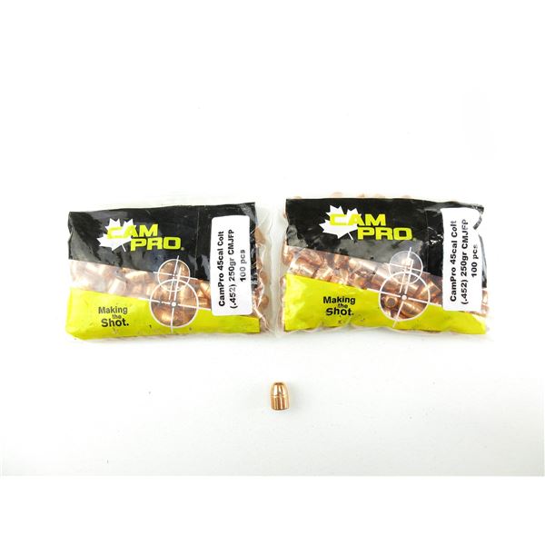 CAM PRO .45 CALIBER BULLETS LOT