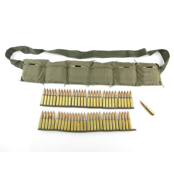 CANADIAN MILITARY 7.62 NATO AMMO LOT