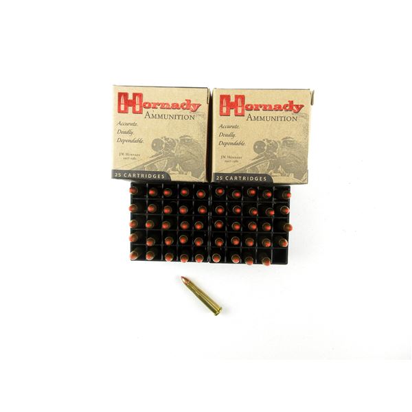HORNADY .22 HORNET AMMO LOT