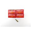 Image 2 : AMERICAN EAGLE .223 REM AMMO LOT