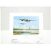 Image 1 : "MOSQUITO STING" PRINT