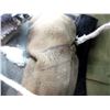 Image 8 : WWII ERA RUSSIAN COMBAT HELMET