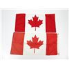 Image 2 : CANADIAN NATIONAL FLAG LOT