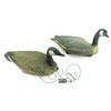 Image 1 : ASSORTED CANADIAN GEESE DECOYS LOT