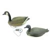 Image 2 : ASSORTED CANADIAN GEESE DECOYS LOT