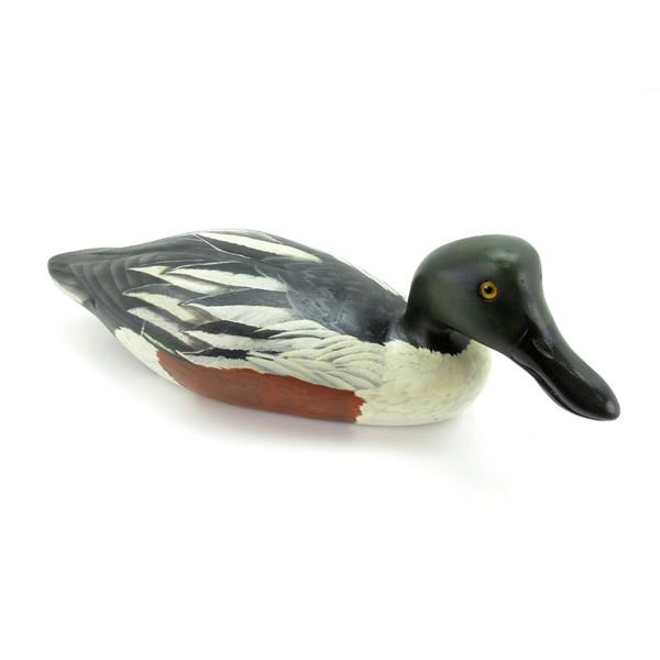 SHOVELLER DRAKE WOOD DUCK