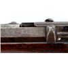 Image 8 : GERMAN MAUSER | Model: 71 Carbine | Caliber: .43 MAUSER