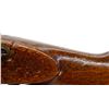 Image 24 : BRITISH SNIDER ENFIELD | Model: MKII* Sporter | Caliber: .577 SNIDER
