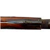Image 25 : UNKNOWN BRITISH | Model: Fowler | Caliber: 16 G