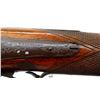 Image 8 : WHITWORTH | Model: Side By Side | Caliber: 16 G