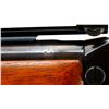Image 8 : BSA CANADIAN | Model: Martini Cadet Custom | Caliber: .22 HORNET
