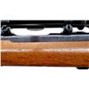 Image 8 : RUGER | Model: 77/22 | Caliber: .22 HORNET