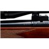 Image 8 : ANSCHUTZ | Model: 1717 | Caliber: .17 HMR