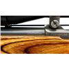 Image 8 : RUGER | Model: 77/22 All Weather | Caliber: .22 WIN MAG