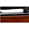 Image 8 : REMINGTON | Model: 700 BDL | Caliber: .300 WIN MAG