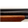Image 8 : STEVENS TURKEY | Model: 555 | Caliber: 12 G X 3"