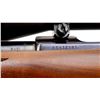 Image 8 : RUGER | Model: M77 | Caliber: 7 X 57