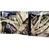 Image 8 : ROKIN TURKEY | Model: AX-21 | Caliber: 12 G X 3"
