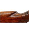 Image 8 : WINCHESTER | Model: 50 | Caliber: 12 G X 2 3/4"