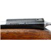 Image 8 : COOEY | Model: 82 Trainer | Caliber: .22 LR