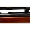 Image 8 : WINCHESTER | Model: Wild Cat | Caliber: .22 LR