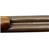 Image 18 : NEUMANN BROS | Model: Hammer Gun | Caliber: 16 G X 2 3/4"