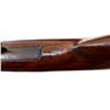Image 11 : AMERICAN GUN CO | Model: Single Shot | Caliber: 16 G X 2 1/2"