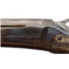 Image 9 : AMERICAN GUN CO | Model: Single Shot | Caliber: 16 G X 2 1/2"