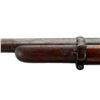 Image 11 : UNKNOWN BELGIAN | Model: Gras Sporter | Caliber: 12 G X 2 5/8"