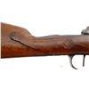 Image 14 : UNKNOWN BELGIAN | Model: Gras Sporter | Caliber: 12 G X 2 5/8"