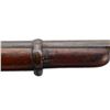 Image 17 : UNKNOWN BELGIAN | Model: Gras Sporter | Caliber: 12 G X 2 5/8"