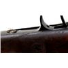 Image 22 : UNKNOWN BELGIAN | Model: Gras Sporter | Caliber: 12 G X 2 5/8"
