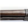 Image 8 : WINCHESTER | Model: 25 | Caliber: 12 G X 2 3/4"