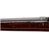 Image 8 : UNKNOWN BELGIAN | Model: Zulu | Caliber: 12 G X 2 3/4"