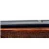 Image 8 : WINCHESTER | Model: Wildcat | Caliber: .22 LR
