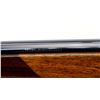 Image 10 : VOERE | Model: 2114 | Caliber: .22 LR